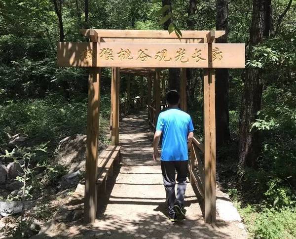 豪门国际官方网站图片