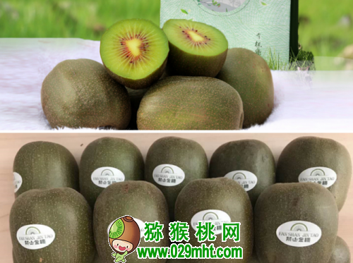 豪门国际 8ed2a