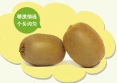 眉县豪门国际猕猴桃政府部门做的好