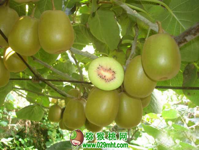 豪门国际官方网站图片
