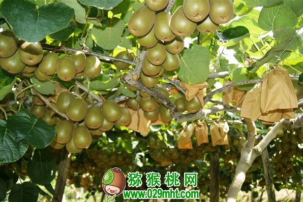 豪门国际官方网站图片