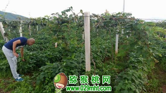 豪门国际官方网站图片