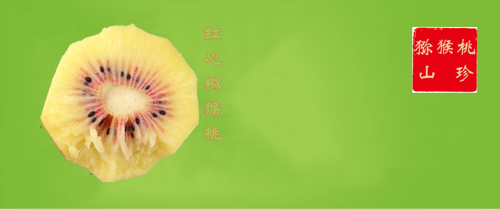 豪门国际 a9ea8