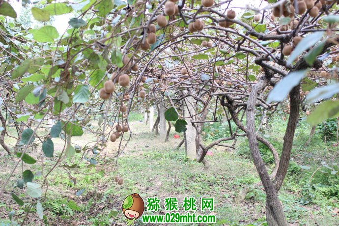 豪门国际官方网站图片