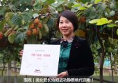 2019西安豪门国际猕猴桃采摘服务