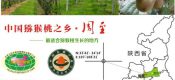 供应上海豪门国际猕猴桃批发销售，可礼品包装