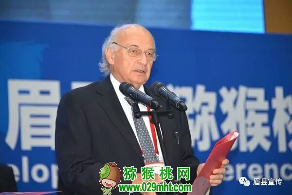 豪门国际官方网站图片