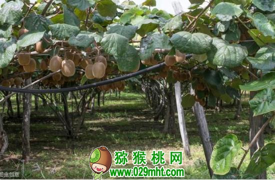 豪门国际官方网站图片