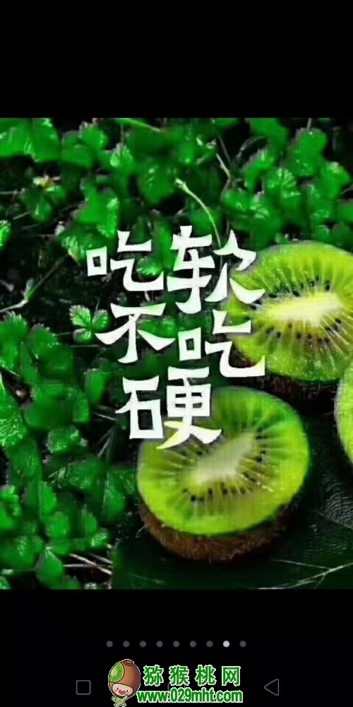 豪门国际 4ed5b