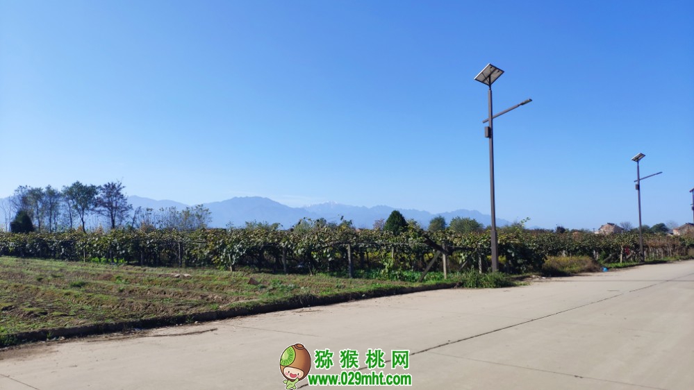 豪门国际官方网站图片