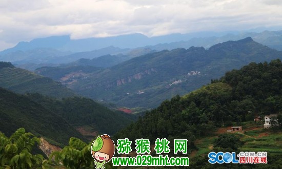 豪门国际官方网站图片
