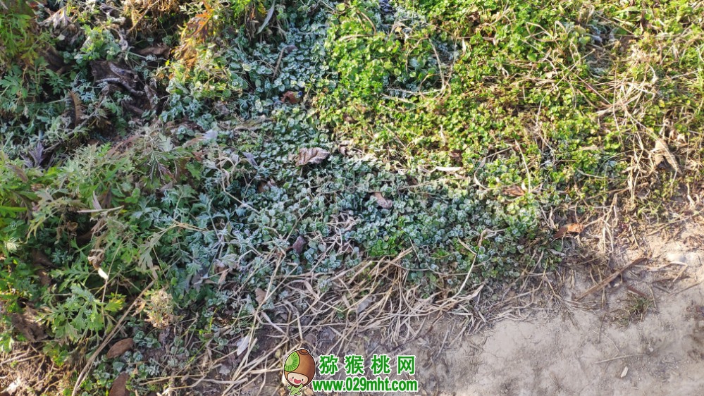 豪门国际 30f7b