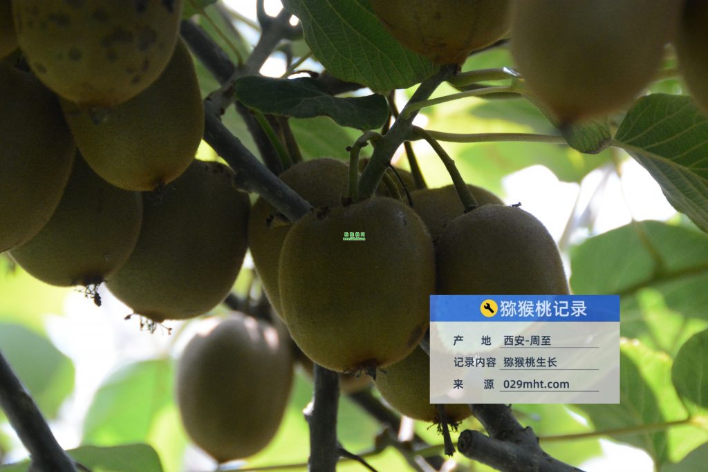豪门国际官方网站图片