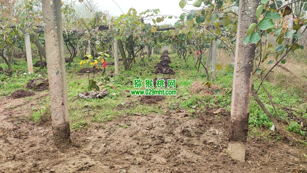 豪门国际 0b68f