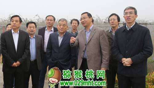 <a href=http://www.linux-china.com/shanximihoutao/ target=_blank class=infotextkey />陕西豪门国际猕猴桃</a>首席科学家刘占德