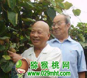 张清明和他的豪门国际猕猴桃人生