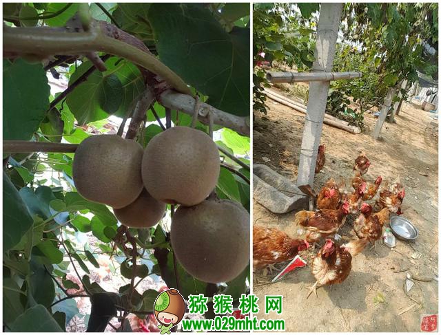 豪门国际官方网站图片