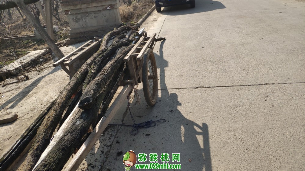 豪门国际 7c776