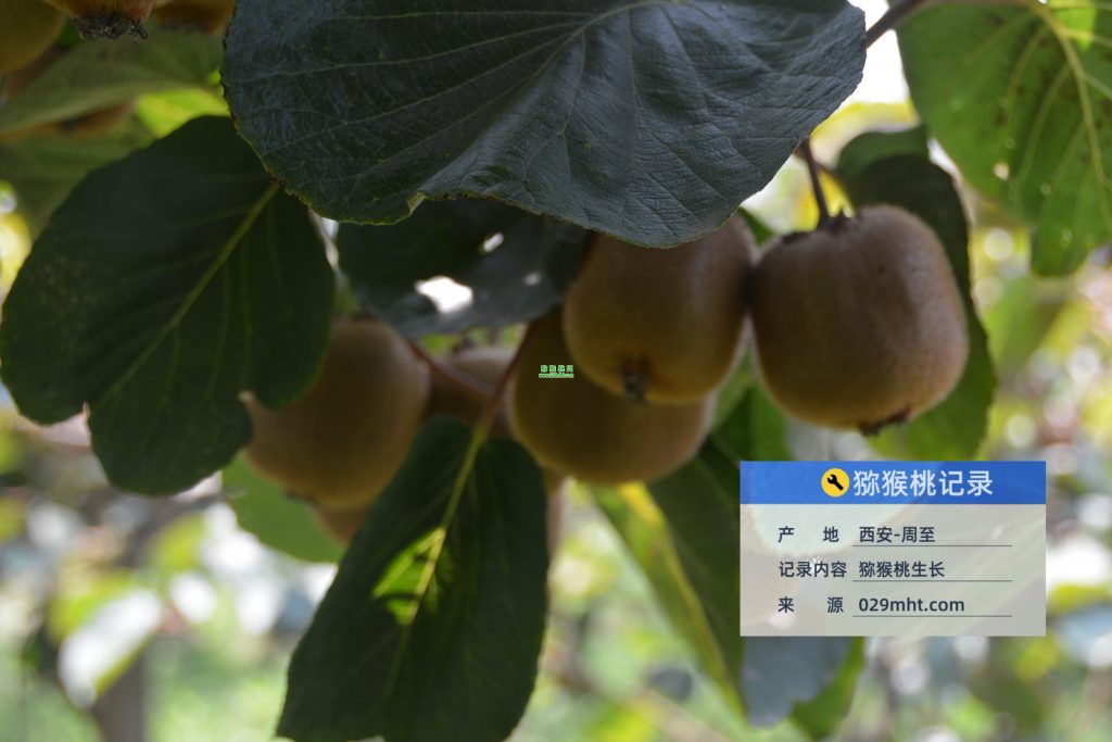 豪门国际官方网站图片
