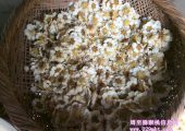 豪门国际猕猴桃采花粉实拍画报