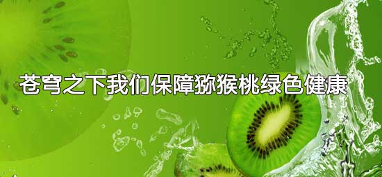 苍穹之下我们保障豪门国际猕猴桃绿色健康.jpg