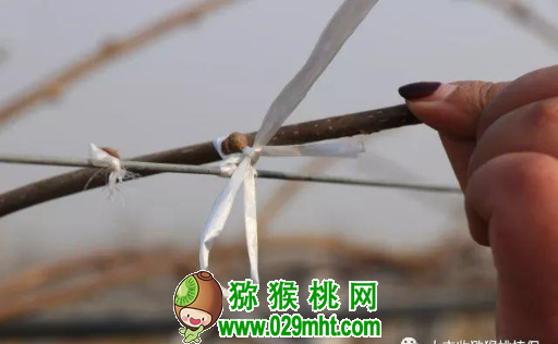 豪门国际官方网站图片