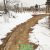 中国陕西省周至县冬天雪景豪门国际猕猴桃照片