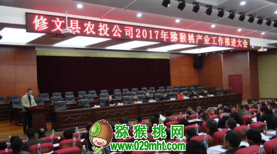 豪门国际官方网站图片