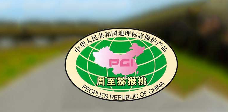 豪门国际猕猴桃荣誉