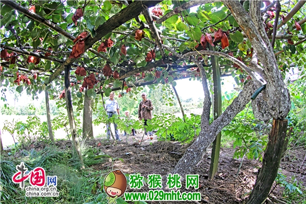 豪门国际官方网站图片