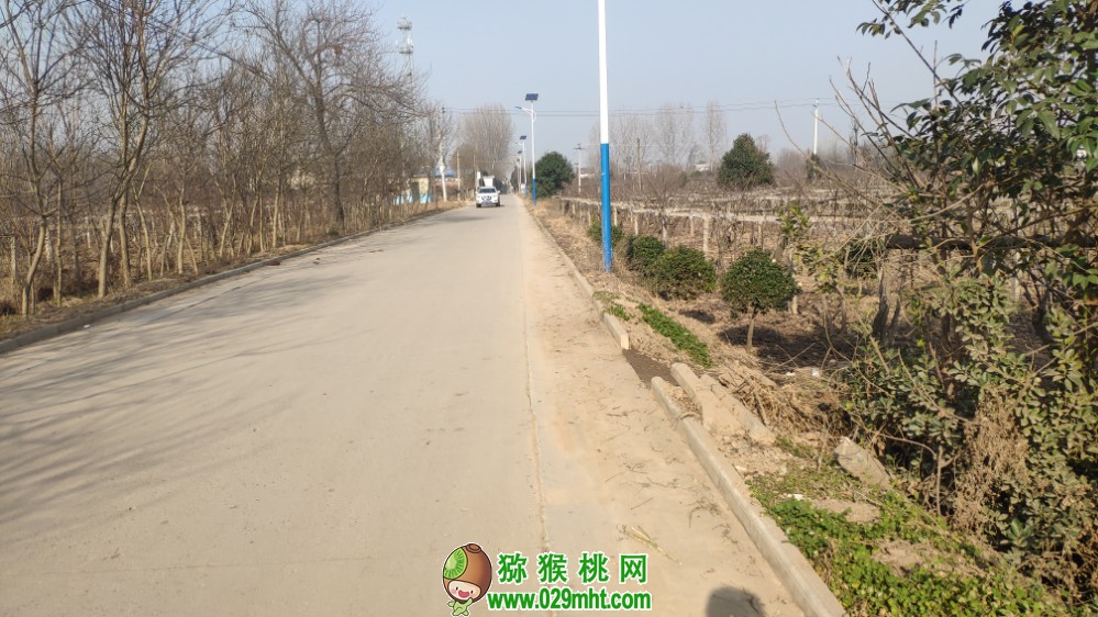 豪门国际官方网站图片