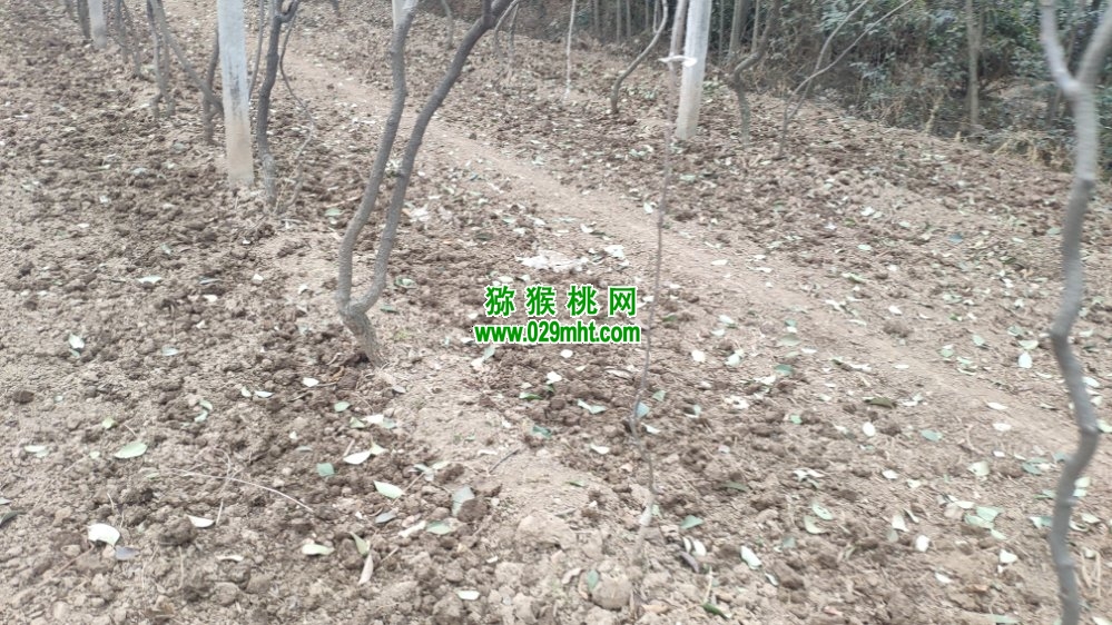 豪门国际 2e6d2