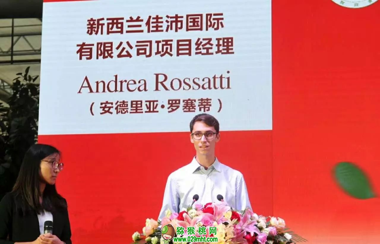 豪门国际官方网站图片