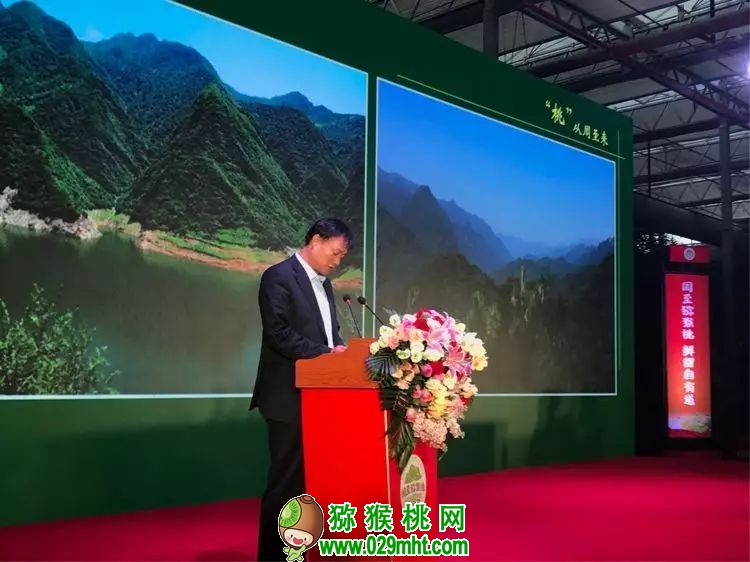 豪门国际官方网站图片