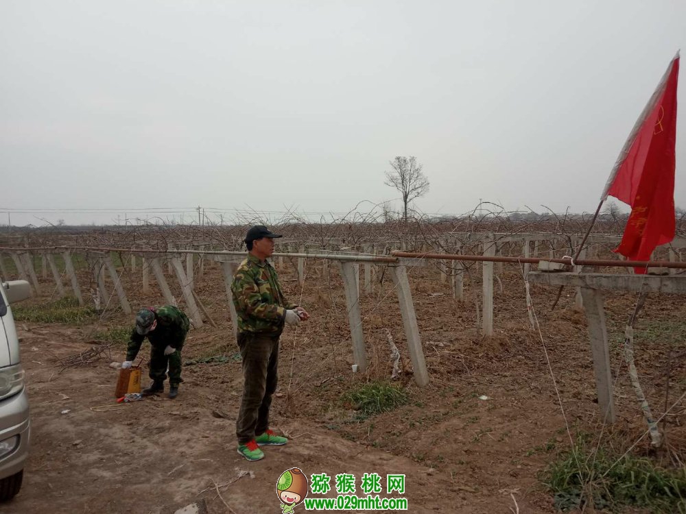 豪门国际 d94c1
