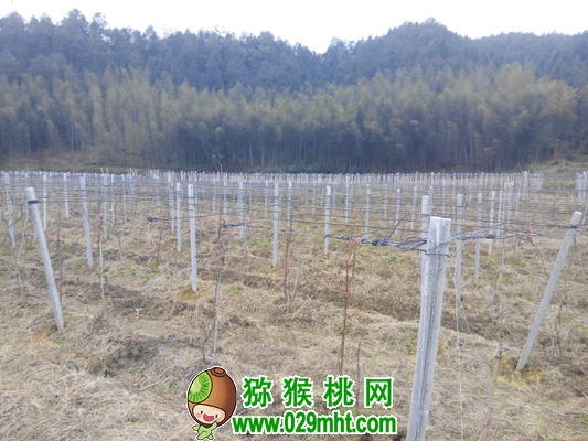 豪门国际官方网站图片