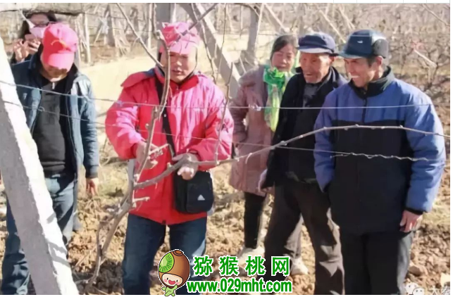 豪门国际官方网站图片