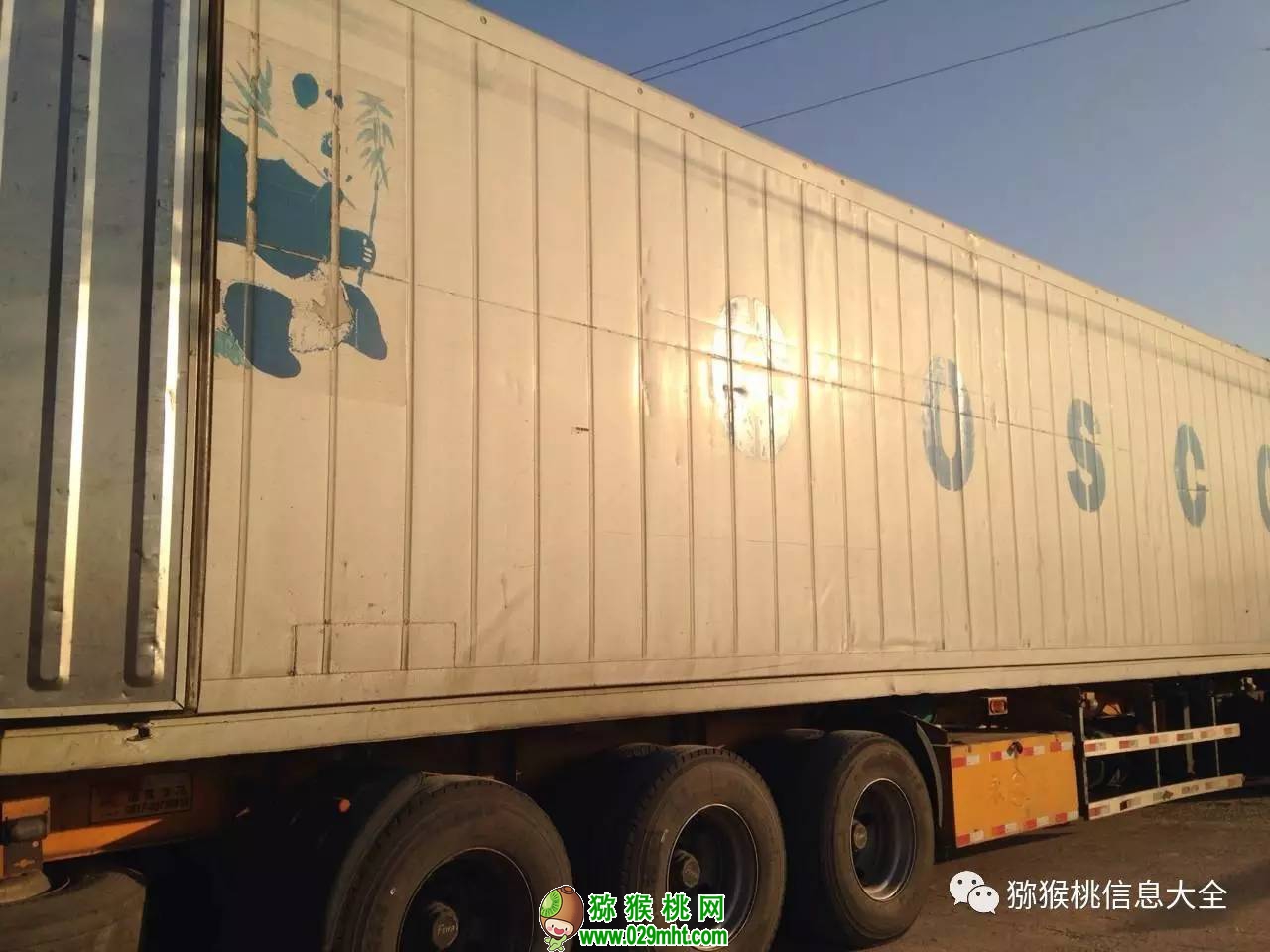 豪门国际官方网站图片