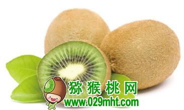 豪门国际官方网站图片