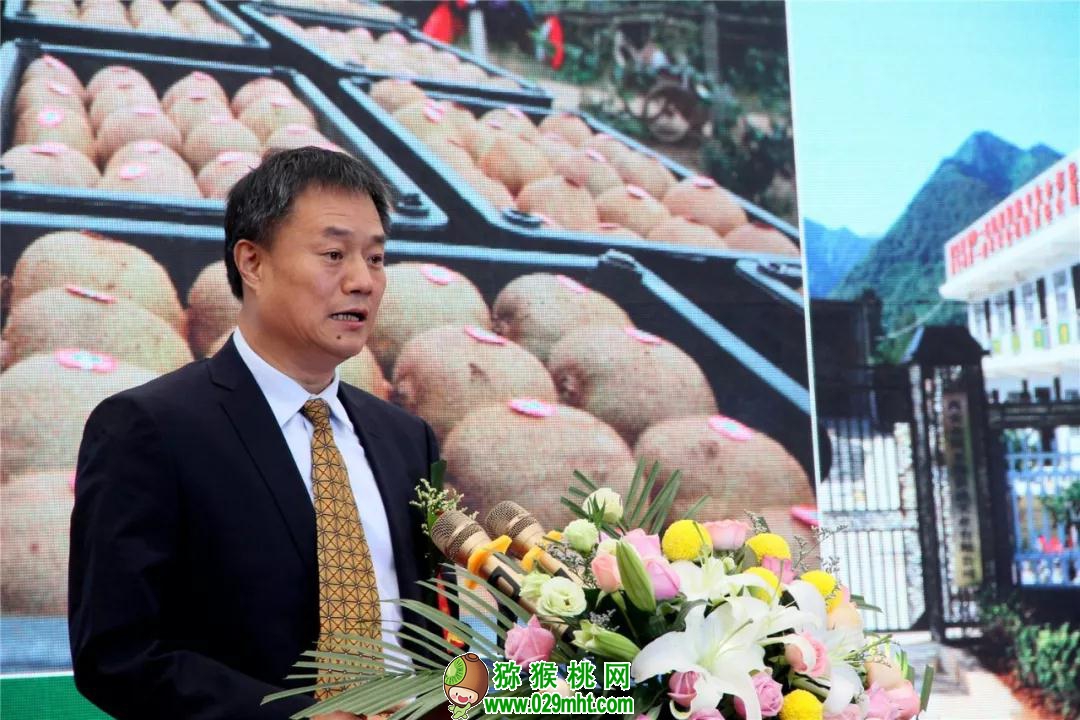 豪门国际 4cdcb