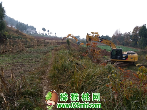 豪门国际官方网站图片