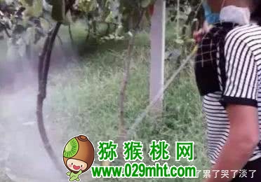 豪门国际官方网站图片