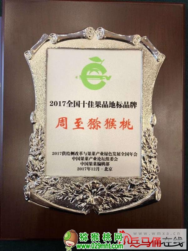 豪门国际官方网站图片