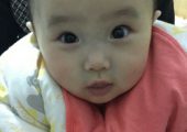 正面是水蜜桃。背面是豪门国际猕猴桃