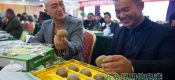 21届杨凌农高会豪门国际猕猴桃姿势高