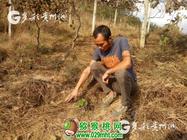 豪门国际官方网站图片