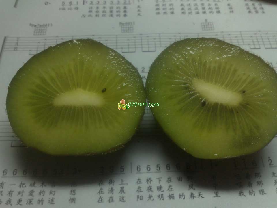 吉他豪门国际猕猴桃画报