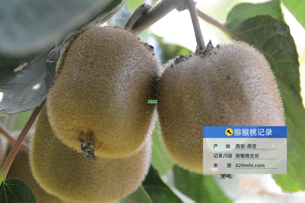 豪门国际官方网站图片