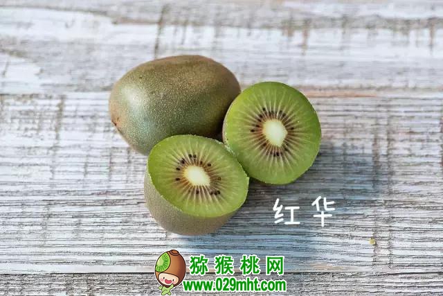豪门国际官方网站图片