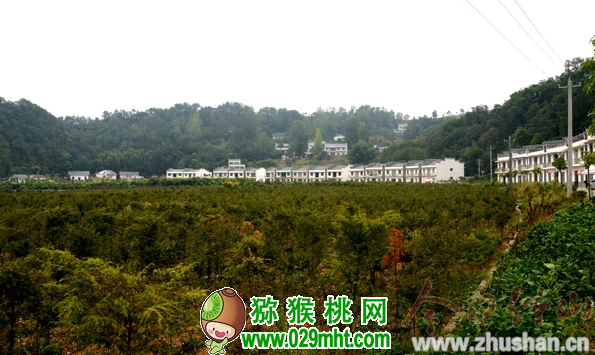 豪门国际官方网站图片